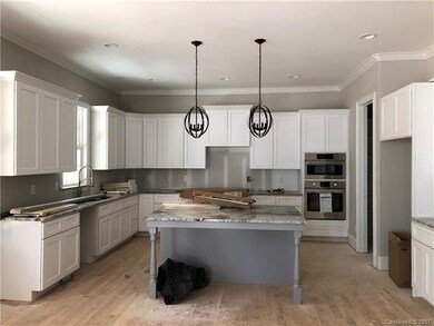 4600 Firethorn Ct unit 61, Denver, NC 28037 - photo 4