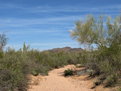 Land Photo #5