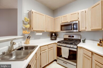 13089 Autumn Woods Way unit 101, Fairfax, VA 22033 - photo 6