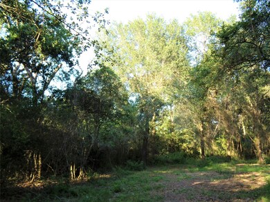 31068 Hegar Rd, Hockley, TX 77447 - photo 5