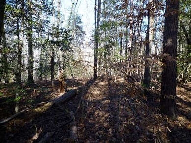 Lot 11 Dynamite Rd unit Lot 11 Dynamite Rd, Tamassee, SC 29686 - photo 4