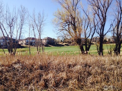 Looking South from Home