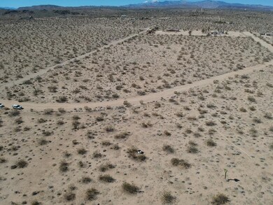 60676 Campanula St, Joshua Tree, CA 92252 - photo 4