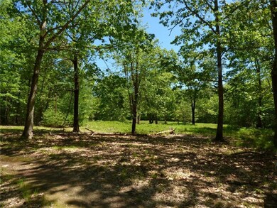 View from edge of the road looking...