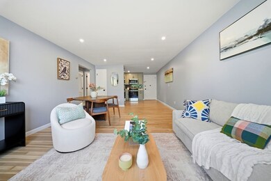 20 Radcliffe Rd unit 209, Allston, MA 02134 - photo 4