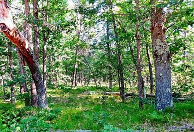 00000 Leisure Loop, Webber Township, MI 49304 - photo 6