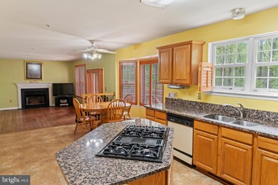 5705 Silk Tree Dr, Riverdale, MD 20737 - photo 6