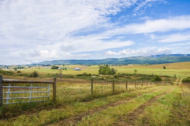 594 Hewitt Rd, Swoope, VA 24479 - photo 6