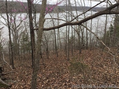 Another view of the lake from the property