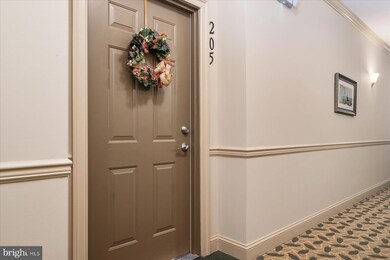 8616 Wintergreen Ct unit 205, Odenton, MD 21113 - photo 4