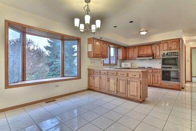 3216 Mallard Dr, Homewood, IL 60430 - photo 7