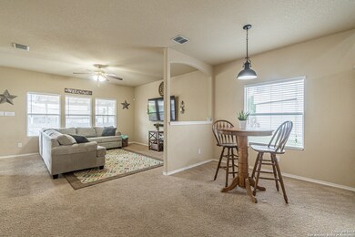 11110 Verbena Path, Helotes, TX 78023 - photo 5