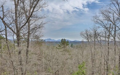 681 The Woods Rd, Mineral Bluff, GA 30559 - photo 2