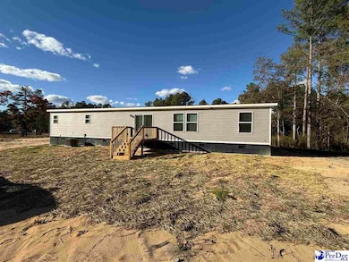 351 Jackson St, Hartsville, SC 29550 - photo 3