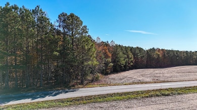 5665 Longview Dr, Kenbridge, VA 23944 - photo 6