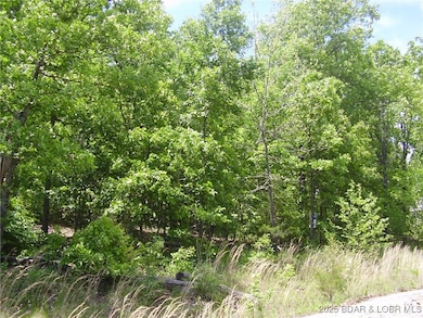 26 Silver Spur Ct, Camdenton, MO 65020 - photo 6