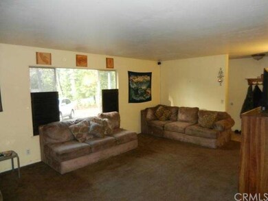 New Carpet in Living Room