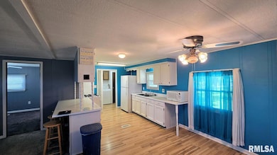 202 Evans St, Loami, IL 62661 - photo 3