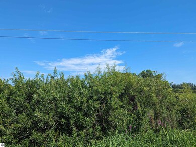 0 S Court St unit 3 1915631, Au Gres, MI 48703 - photo 3