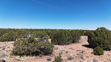 DJI_20250516094842_0070_D