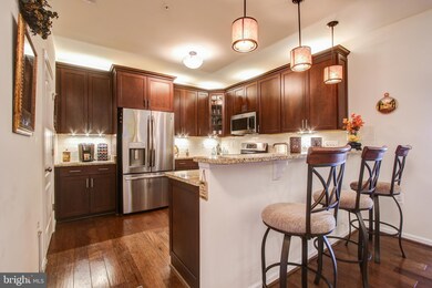 41900 Metamorphic Square unit 302, Aldie, VA 20105 - photo 2