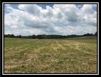 10364 Rankin Rd, Glenford, OH 43739 - photo 7