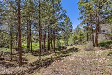 2410 N Broken Circle Rd-13