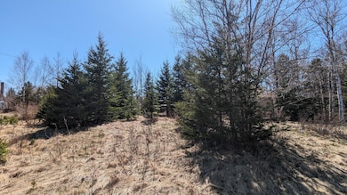 PXL_20240425_181409514