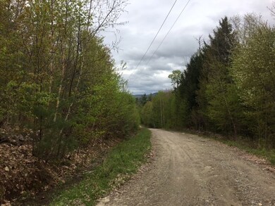 000 Rogers Rd, Hebron, NH 03241 - photo 4