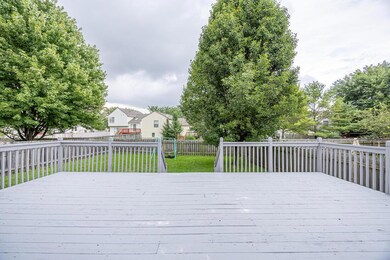 Welsh back deck wide