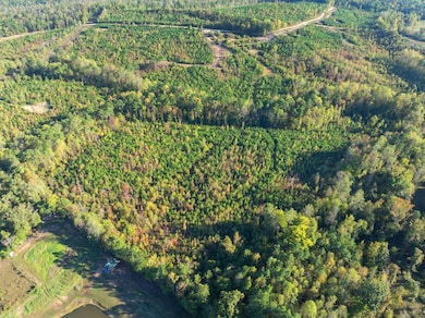 0 Tucker Rd, Bath Springs, TN 38311 - photo 4