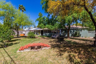 Yard / Trees