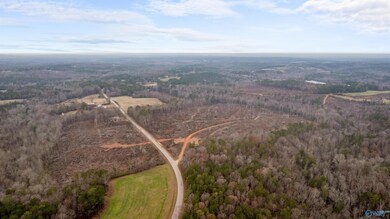 151.13 Acres County Road 673, Roanoke, AL 36278 - photo 5