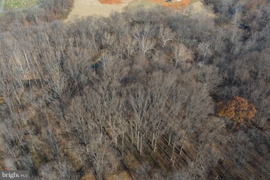 Lot 6 LOT 6 Hillsboro Rd, Blue Ridge, VA 20132 - photo 7