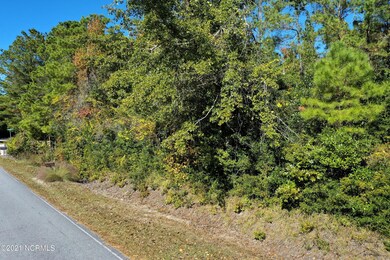 28 and 29 Atkinson Loop - Aerials