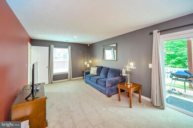 35495 Coyote Trail, Locust Grove, VA 22508 - photo 4