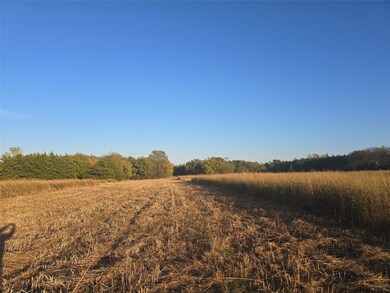 801 County Road 36010, Honey Grove, TX 75446 - photo 7