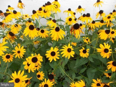 5564 Oakland Rd, Halethorpe, MD 21227 - photo 5