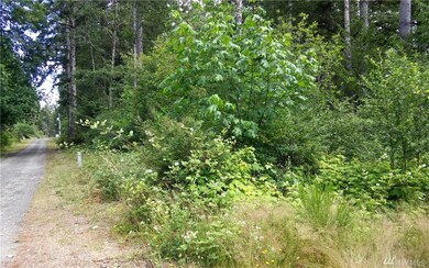 0 E Blackwell St unit 1317350, Allyn-Grapeview, WA 98524 - photo 6