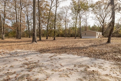 1584 Keegan Dr, Walterboro, SC 29488 - photo 5