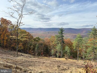 4101 and 4039 Supinlick Ridge Rd, Mount Jackson, VA 22842 - photo 4