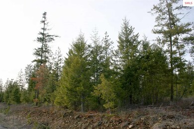 NNK B5 Northern Sky Rd, Athol, ID 83801 - photo 7