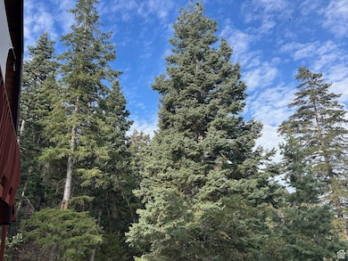 49 N Pine Creek Rd E, Mount Pleasant, UT 84647 - photo 6