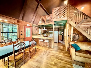 241 Walnut Mountain Rd, Ellijay, GA 30536 - photo 3