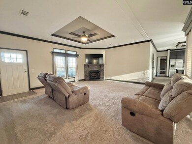 4954 S Carolina 773, Pomaria, SC 29126 - photo 5