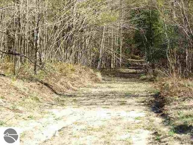 Huffman Lake Rd, Vanderbilt, MI 49795 - photo 7