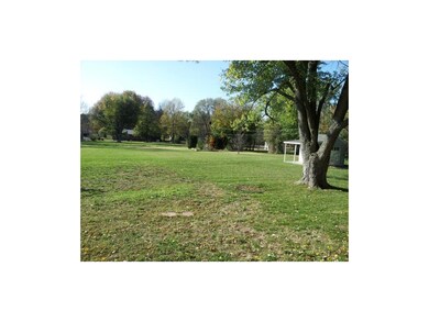 Large backyard, almost an acre. Children & pets wi