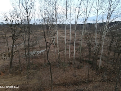 0 Lane Rd, Cascilla, MS 38920 - photo 5