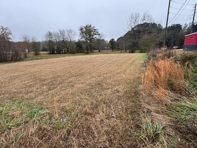 106 Pierce Town Rd, Fulton, MS 38843 - photo 3