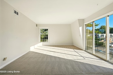 521 Zorn Ave unit H4, Louisville, KY 40206 - photo 4